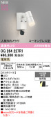 ODELIC �����ǥ�å� LED �������ƥꥢ�饤�� OG264227R1