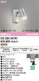 ODELIC �����ǥ�å� LED �������ƥꥢ�饤�� OG264241R1