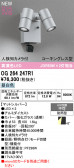 ODELIC �����ǥ�å� LED �������ƥꥢ�饤�� OG264247R1