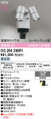 ODELIC �����ǥ�å� LED �������ƥꥢ�饤�� OG264248R1
