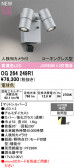 ODELIC �����ǥ�å� LED �������ƥꥢ�饤�� OG264249R1