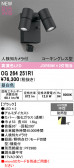 ODELIC �����ǥ�å� LED �������ƥꥢ�饤�� OG264251R1