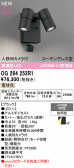ODELIC �����ǥ�å� LED �������ƥꥢ�饤�� OG264253R1