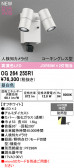 ODELIC �����ǥ�å� LED �������ƥꥢ�饤�� OG264255R1