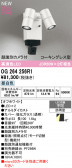 ODELIC �����ǥ�å� LED �������ƥꥢ�饤�� OG264256R1