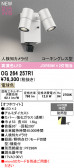 ODELIC �����ǥ�å� LED �������ƥꥢ�饤�� OG264257R1