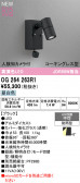 ODELIC �����ǥ�å� LED �������ƥꥢ�饤�� OG264263R1