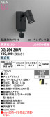 ODELIC �����ǥ�å� LED �������ƥꥢ�饤�� OG264264R1