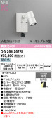 ODELIC �����ǥ�å� LED �������ƥꥢ�饤�� OG264267R1