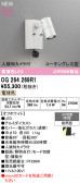 ODELIC �����ǥ�å� LED �������ƥꥢ�饤�� OG264269R1