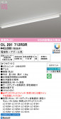 ODELIC �����ǥ�å� LED �١����饤�� OL291712R3R