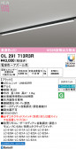 ODELIC �����ǥ�å� LED �١����饤�� OL291713R3R