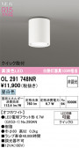 ODELIC �����ǥ�å� LED ����������󥰥饤�� OL291748NR