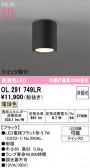 ODELIC �����ǥ�å� LED ����������󥰥饤�� OL291749LR
