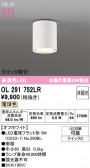 ODELIC �����ǥ�å� LED ����������󥰥饤�� OL291752LR