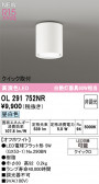 ODELIC �����ǥ�å� LED ����������󥰥饤�� OL291752NR