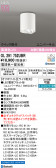 ODELIC �����ǥ�å� LED ����������󥰥饤�� OL291752UBR