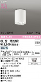 ODELIC �����ǥ�å� LED ����������󥰥饤�� OL291752UNR