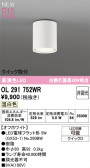 ODELIC �����ǥ�å� LED ����������󥰥饤�� OL291752WR