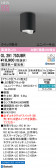ODELIC �����ǥ�å� LED ����������󥰥饤�� OL291753UBR