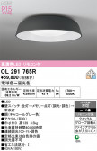 ODELIC �����ǥ�å� LED ������󥰥饤�� OL291765R