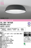 ODELIC �����ǥ�å� LED ������󥰥饤�� OL291767GR
