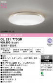 ODELIC �����ǥ�å� LED ������󥰥饤�� OL291770GR
