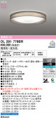 ODELIC �����ǥ�å� LED ������󥰥饤�� OL291779BR