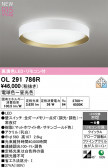 ODELIC �����ǥ�å� LED ������󥰥饤�� OL291786R