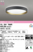 ODELIC �����ǥ�å� LED ������󥰥饤�� OL291788R
