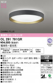 ODELIC �����ǥ�å� LED ������󥰥饤�� OL291791GR