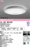 ODELIC �����ǥ�å� LED ������󥰥饤�� OL291807GR