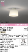 ODELIC �����ǥ�å� LED ����������󥰥饤�� OL291815LR