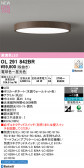 ODELIC �����ǥ�å� LED ������󥰥饤�� OL291842BR