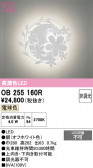 ODELIC �����ǥ�å� LED �֥饱�å� OB255160R
