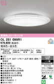 ODELIC �����ǥ�å� LED ������󥰥饤�� OL251099R1