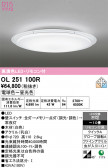 ODELIC �����ǥ�å� LED ������󥰥饤�� OL251100R
