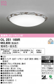ODELIC �����ǥ�å� LED ������󥰥饤�� OL251169R