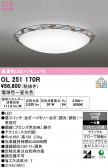 ODELIC �����ǥ�å� LED ������󥰥饤�� OL251170R