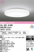 ODELIC �����ǥ�å� LED ������󥰥饤�� OL251218R