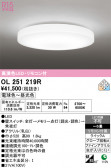 ODELIC �����ǥ�å� LED ������󥰥饤�� OL251219R