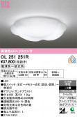 ODELIC �����ǥ�å� LED ������󥰥饤�� OL251251R