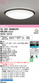 ODELIC �����ǥ�å� LED ������󥰥饤�� OL251260BCR1