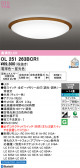ODELIC �����ǥ�å� LED ������󥰥饤�� OL251263BCR1