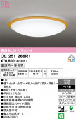 ODELIC �����ǥ�å� LED ������󥰥饤�� OL251266R1