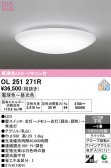 ODELIC �����ǥ�å� LED ������󥰥饤�� OL251271R