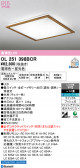 ODELIC �����ǥ�å� LED ������󥰥饤�� OL251398BCR
