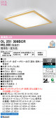 ODELIC �����ǥ�å� LED ������󥰥饤�� OL251399BCR