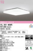 ODELIC �����ǥ�å� LED ������󥰥饤�� OL251409R