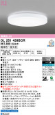 ODELIC �����ǥ�å� LED ������󥰥饤�� OL251439BCR